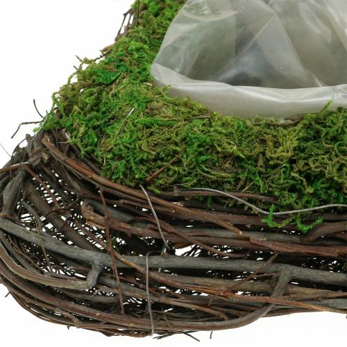 Floristik24 Plant heart vine, moss 22cm x 28cm H8cm