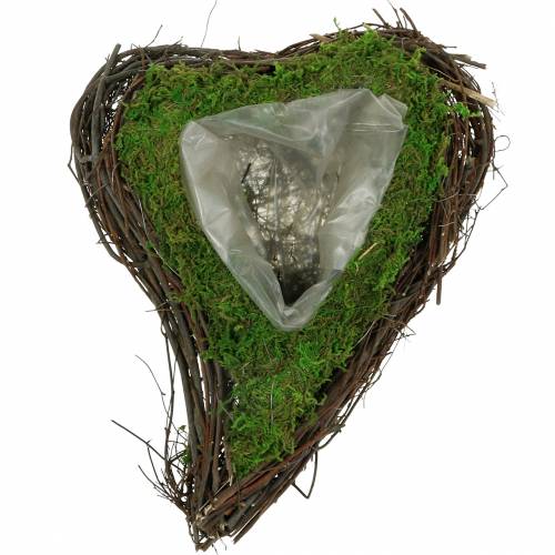 Floristik24 Plant heart vine, moss 26×36cm H9cm