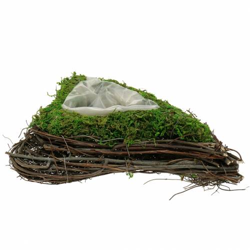 Floristik24 Plant heart vine, moss 26×36cm H9cm