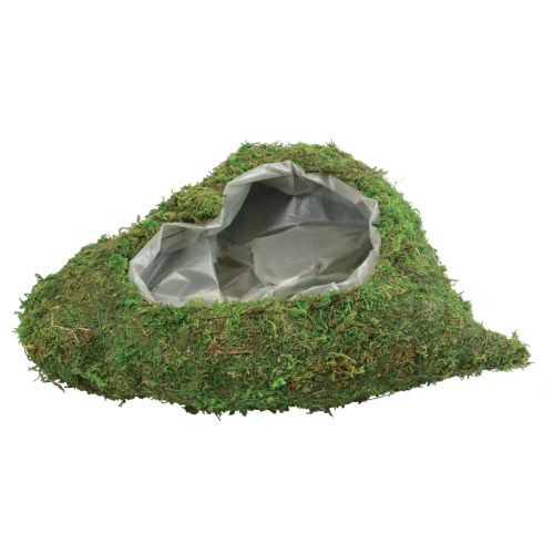 Floristik24 Plant heart moss green plant bowl heart 20x20x5.5cm