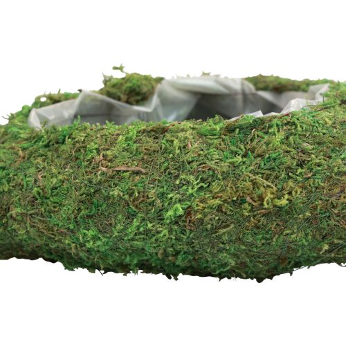 Floristik24 Plant heart moss green plant bowl heart 20x20x5.5cm