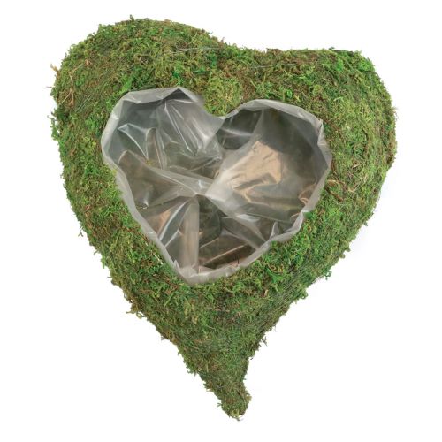 Floristik24 Plant heart moss green plant bowl heart 26×30×8cm