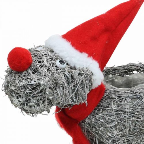 Floristik24 Dog for planting, Christmas decoration, plant basket, Advent H30cm L29.5cm