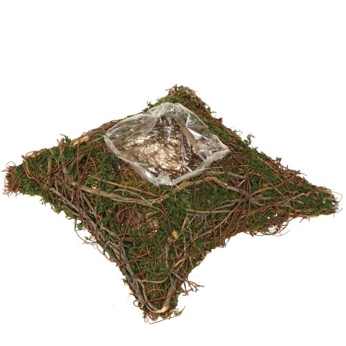 Floristik24 Planter with natural vines & moss Cushion 20×20×6.5cm