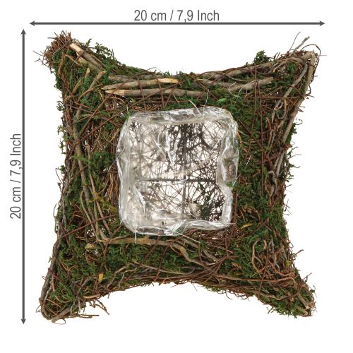 Planter with natural vines & moss Cushion 20×20×6.5cm | Floristik24.ie