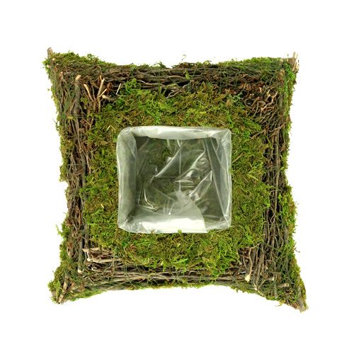 Floristik24 Plant cushion moss with vine 20cm x 20cm
