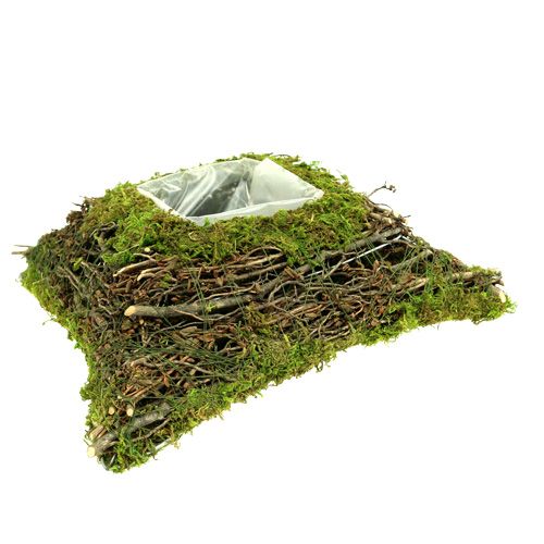 Floristik24 Plant cushion moss with vine 20cm x 20cm