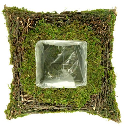 Floristik24 Plant cushion moss with vine 30cm x 30cm