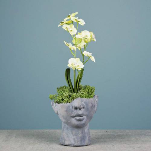 Floristik24 Plant head bust made of concrete for planting gray H13cm 2pcs