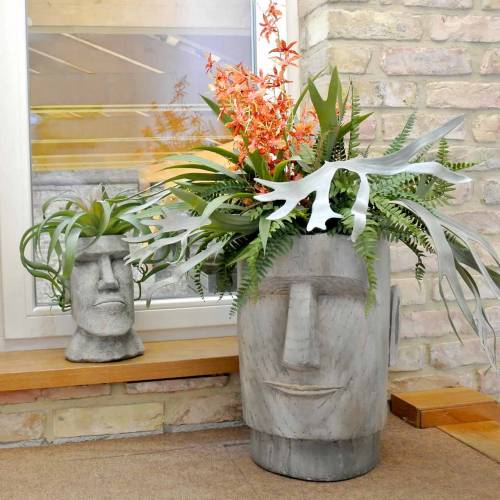 Product Plant head Moai bust gray H28cm