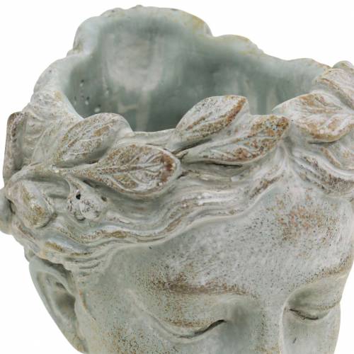 Product Plant head bust grey-blue Ø8cm H15cm