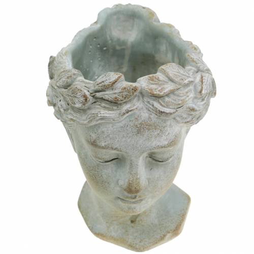 Product Plant head bust grey-blue Ø8cm H15cm