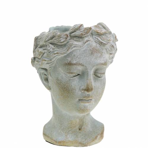 Product Plant head bust grey-blue Ø8cm H15cm