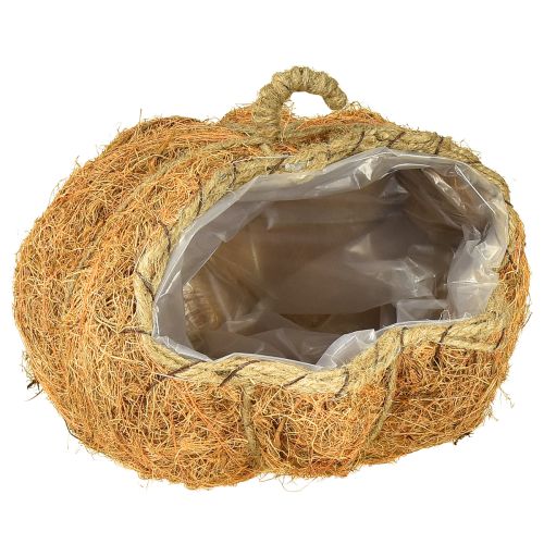 Product Plant basket pumpkin autumn decoration orange Ø22cm H17cm