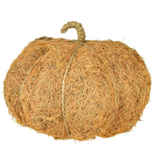 Product Plant basket pumpkin autumn decoration orange Ø22cm H17cm