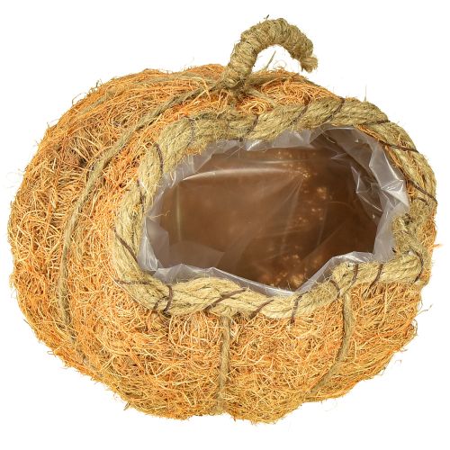 Floristik24 Plant basket pumpkin with foil autumn decoration orange Ø18cm H15cm