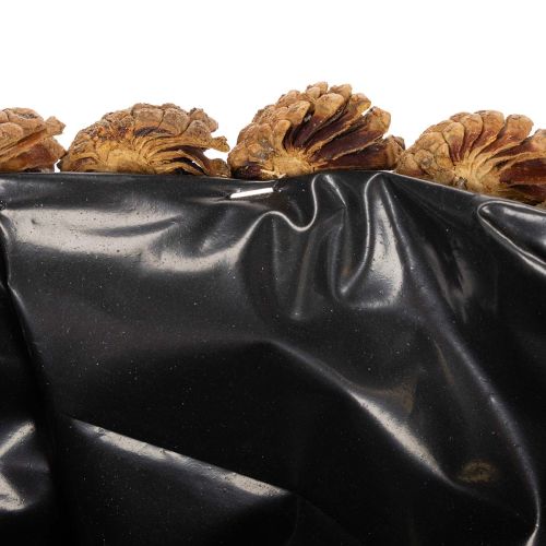 Round pine cone planting bowl,