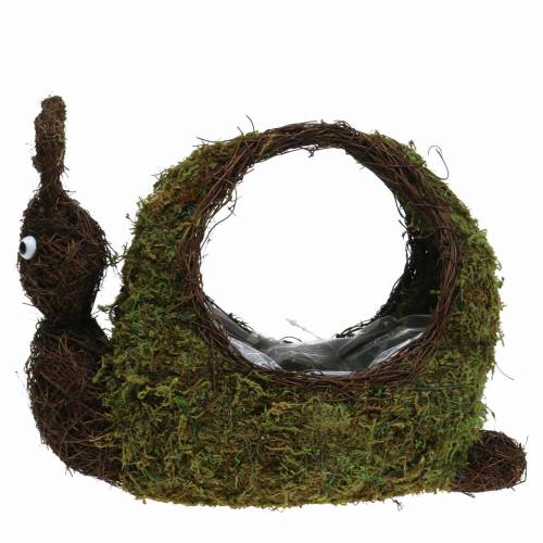 Floristik24 Plant basket snail moss brown 29x13cm H23cm