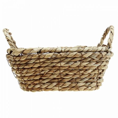 Floristik24 Plant basket seagrass basket with handles oval decoration 23×13×9cm