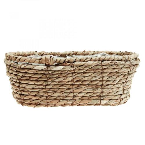 Floristik24 Plant basket seagrass basket oval decorative basket 28×15×10cm