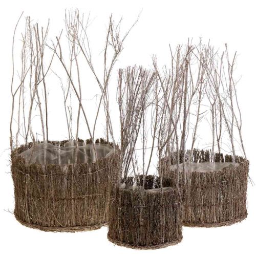Floristik24 Plant basket made of twigs white washed Ø15-25cm set of 3