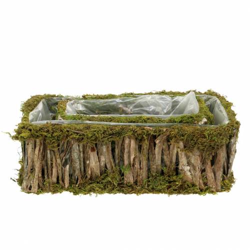 Floristik24 Plant basket square moss, bark 34 × 15.5 / 24.5 × 11cm, set of 2