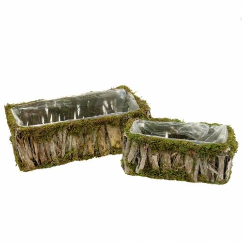 Plant basket square moss, bark 34 × 15.5 / 24.5 × 11cm, set of 2