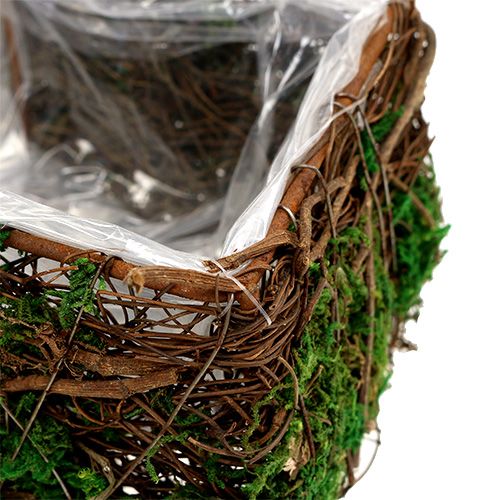 Floristik24 Planting cross set of 2 vine, moss