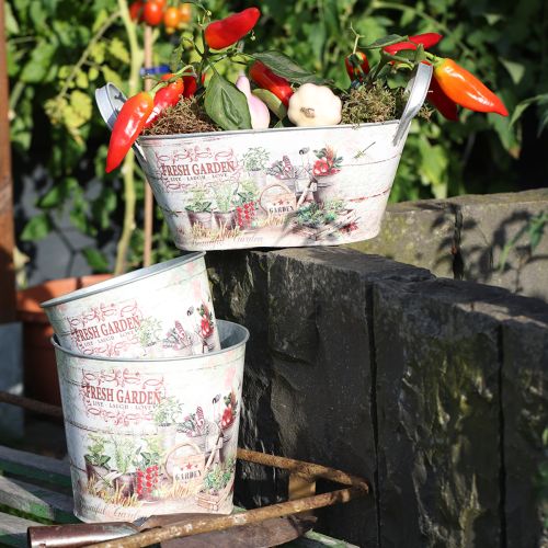 Product Plant pot flower pot round metal Fresh Garden H21cm