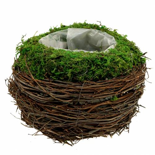 Floristik24 Planter bowl rattan, moss Ø19cm H13cm