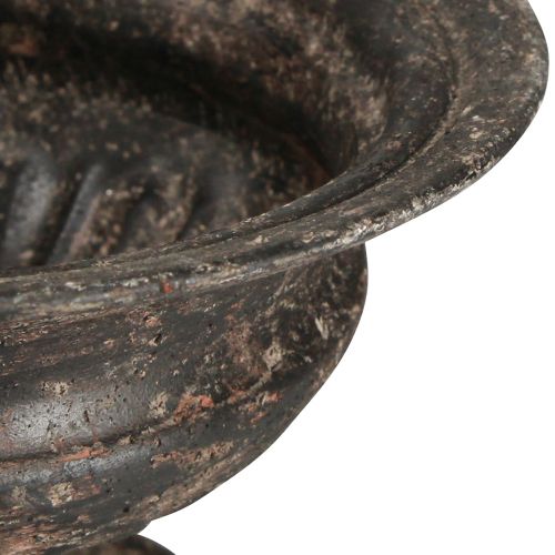 Floristik24 Plant cup chalice antique look black brown Ø20cm H15cm