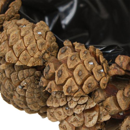 Product Planting bowl Real pine cones Pine cone bowl Natural Ø28cm H9cm