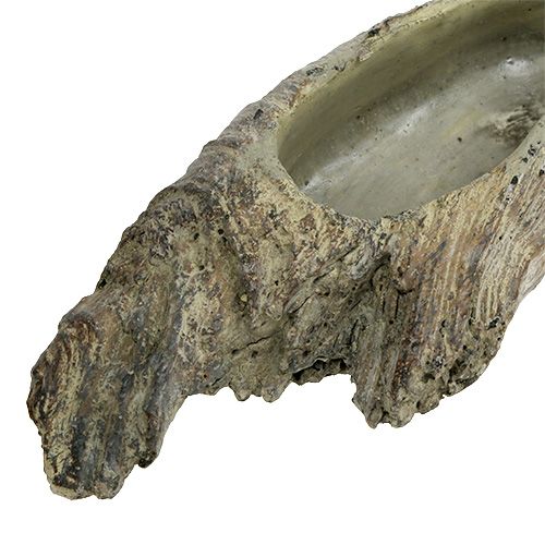 Floristik24 Planter bowl for succulents 24.5cm x 8.5cm H5.5cm