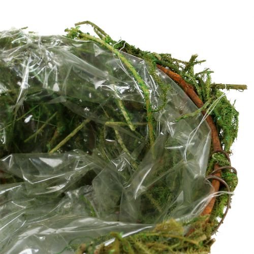 Floristik24 Planter bowl with moss Ø16cm H9cm - 10cm green 3pcs