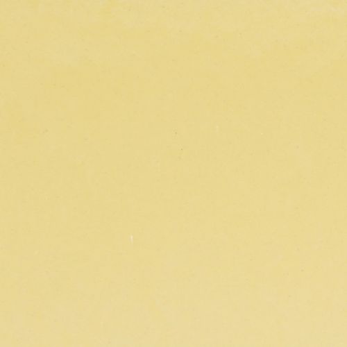 Product Plant bowl oval yellow decorative bowl plastic 20×10×11cm 3pcs