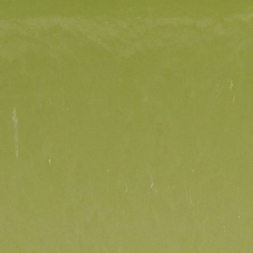 Product Plant bowl oval green bowl plastic 20×10×11cm 3pcs