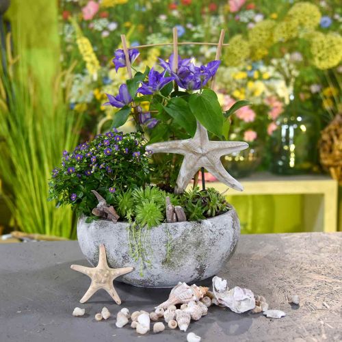 Floristik24 Plant bowl antique look flower bowl patina Ø32cm H14cm