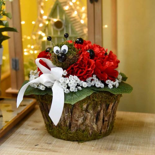 Floristik24 Plant bowl moss/bark round Ø15/20cm set of 2