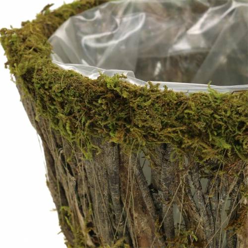 Floristik24 Plant bowl moss/bark round Ø15/20cm set of 2