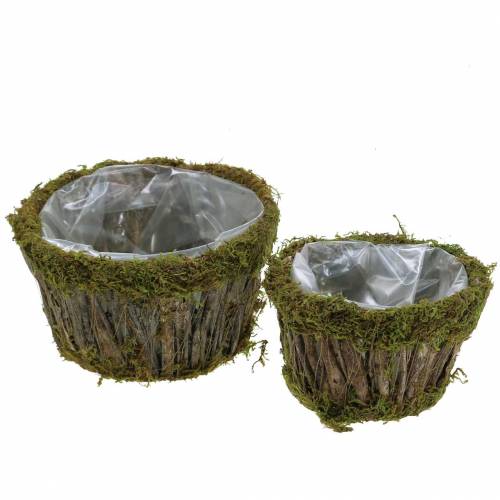 Floristik24 Plant bowl moss/bark round Ø15/20cm set of 2