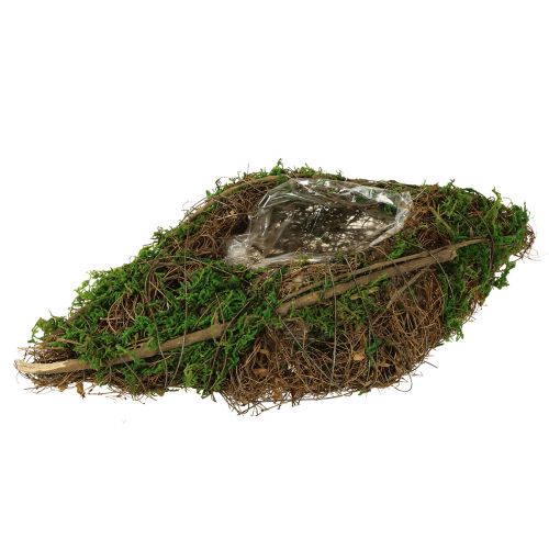 Floristik24 Planting boat vines and moss planting bowl 31×17×6cm