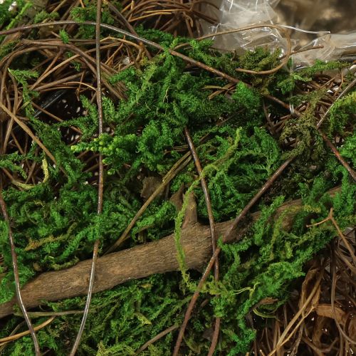 Floristik24 Planting boat vines and moss planting bowl 31×17×6cm