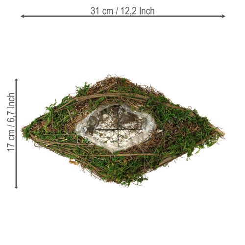 Floristik24 Planting boat vines and moss planting bowl 31×17×6cm