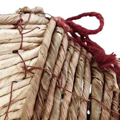 Floristik24 Plant pot shoe for planting seagrass 22.5×10×12cm