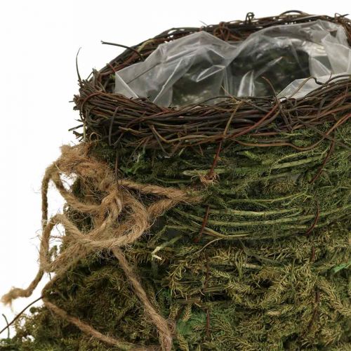 Floristik24 Plant pot shoe for planting moss and vine 30×14×21cm