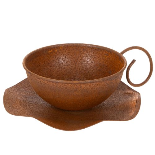 Planting cup with saucer, plant pot, rust finish, Ø19.5cm, H8cm buy online | Floristik24.ie