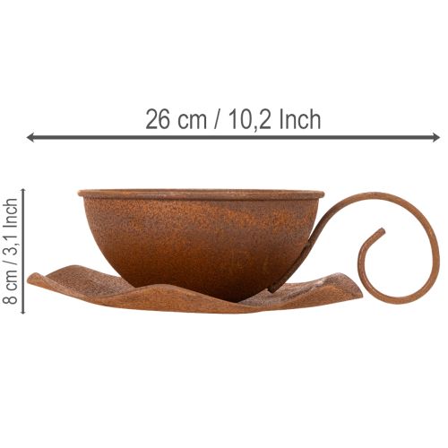 Planting cup with saucer, plant pot, rust finish, Ø19.5cm, H8cm | Floristik24.ie