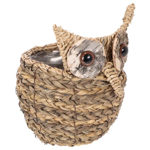 Handwoven owl basket decoration for windowsill, 18cm buy online | Floristik24.ie