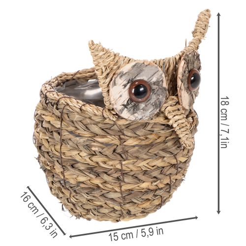 Handwoven owl basket decoration for windowsill, 18cm | Floristik24.ie