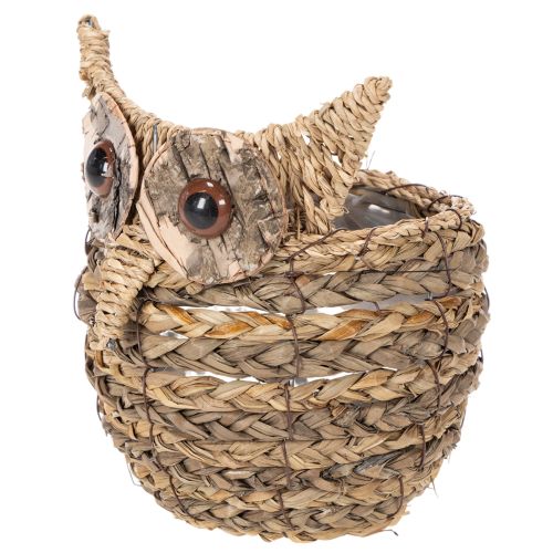 Handwoven owl basket decoration for windowsill, 18cm | Floristik24.ie